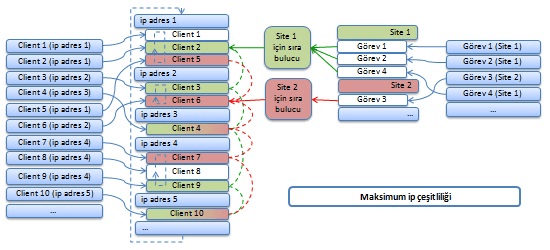 ip çeşitliliği